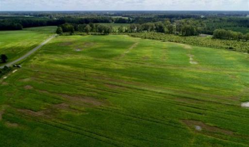 Photo of 80 Acres of Farm and Hunting Land for Sale in Gates County NC!
