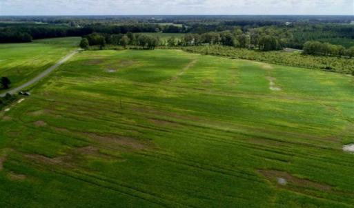 Photo of 80 Acres of Farm and Hunting Land for Sale in Gates County NC!