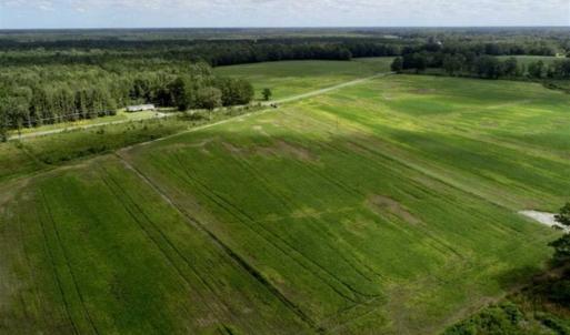 Photo of 80 Acres of Farm and Hunting Land for Sale in Gates County NC!