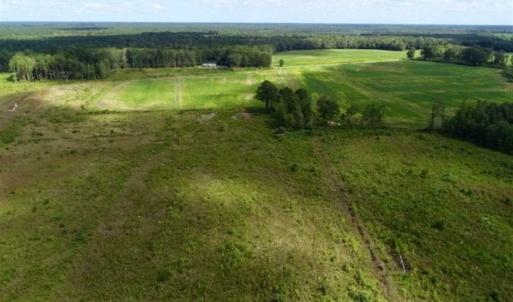 Photo of 80 Acres of Farm and Hunting Land for Sale in Gates County NC!