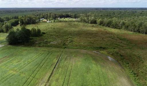 Photo of 80 Acres of Farm and Hunting Land for Sale in Gates County NC!
