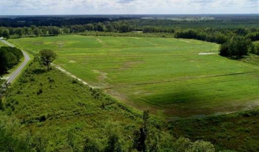 Photo of 80 Acres of Farm and Hunting Land for Sale in Gates County NC!