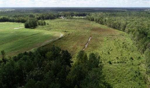 Photo of 80 Acres of Farm and Hunting Land for Sale in Gates County NC!