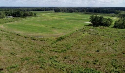 Photo of 80 Acres of Farm and Hunting Land for Sale in Gates County NC!