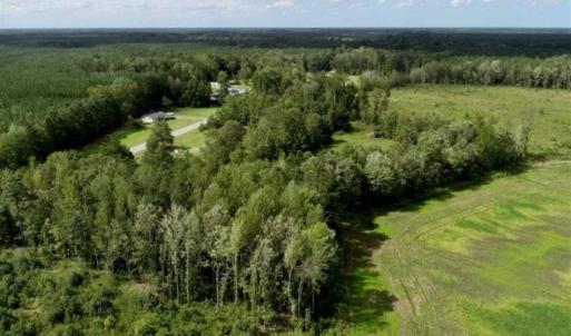 Photo of 80 Acres of Farm and Hunting Land for Sale in Gates County NC!