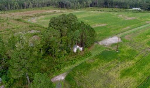 Photo of 80 Acres of Farm and Hunting Land for Sale in Gates County NC!
