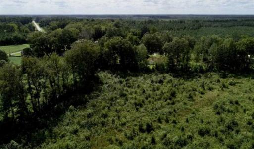 Photo of 80 Acres of Farm and Hunting Land for Sale in Gates County NC!