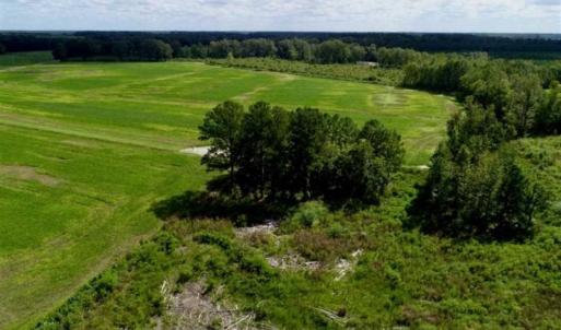Photo of 80 Acres of Farm and Hunting Land for Sale in Gates County NC!