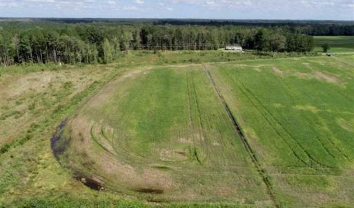 Photo of 80 Acres of Farm and Hunting Land for Sale in Gates County NC!