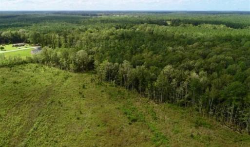Photo of 80 Acres of Farm and Hunting Land for Sale in Gates County NC!