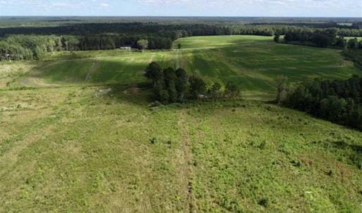 Photo of 80 Acres of Farm and Hunting Land for Sale in Gates County NC!