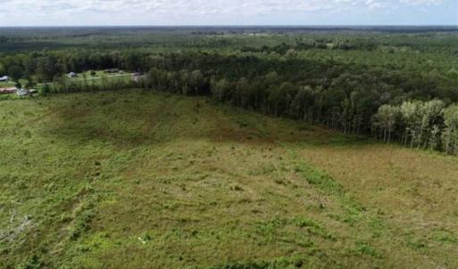 Photo of 80 Acres of Farm and Hunting Land for Sale in Gates County NC!