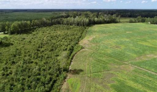 Photo of 80 Acres of Farm and Hunting Land for Sale in Gates County NC!