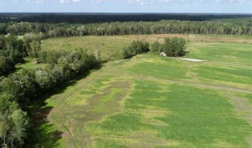 Photo of 80 Acres of Farm and Hunting Land for Sale in Gates County NC!
