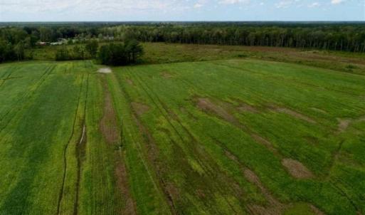Photo of 80 Acres of Farm and Hunting Land for Sale in Gates County NC!