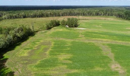 Photo of 80 Acres of Farm and Hunting Land for Sale in Gates County NC!