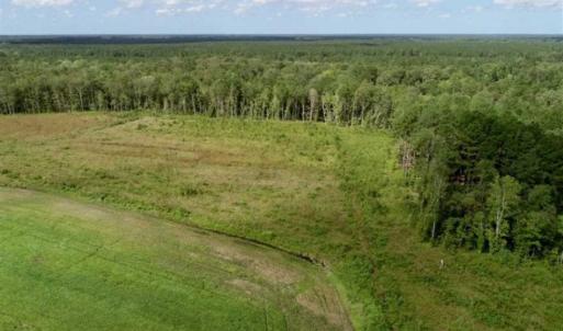 Photo of 80 Acres of Farm and Hunting Land for Sale in Gates County NC!