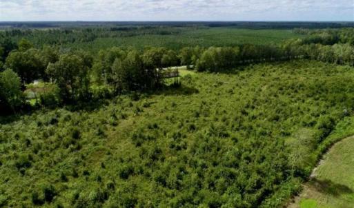 Photo of 80 Acres of Farm and Hunting Land for Sale in Gates County NC!