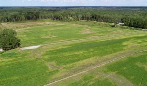 Photo of 80 Acres of Farm and Hunting Land for Sale in Gates County NC!