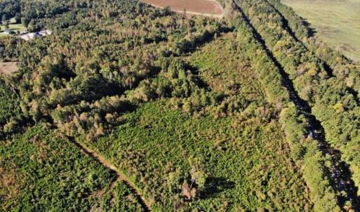 Photo of UNDER CONTRACT!!  46.79 Acres of Hunting Land for Sale in Brunswick County VA!