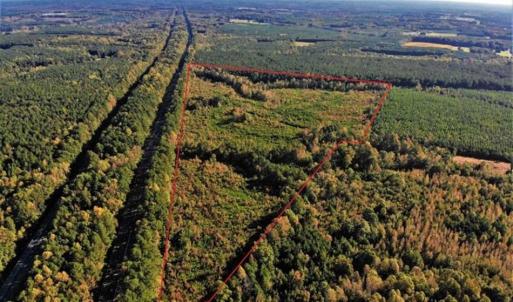 Photo of UNDER CONTRACT!!  46.79 Acres of Hunting Land for Sale in Brunswick County VA!