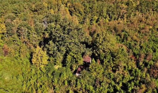 Photo of UNDER CONTRACT!!  46.79 Acres of Hunting Land for Sale in Brunswick County VA!