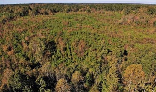Photo of UNDER CONTRACT!!  46.79 Acres of Hunting Land for Sale in Brunswick County VA!