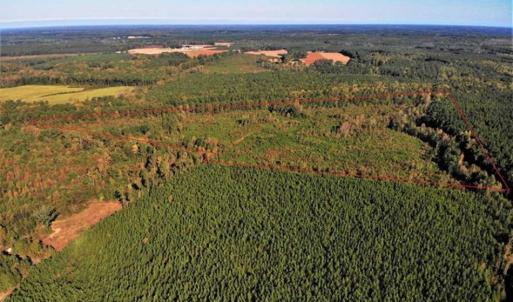 Photo of UNDER CONTRACT!!  46.79 Acres of Hunting Land for Sale in Brunswick County VA!