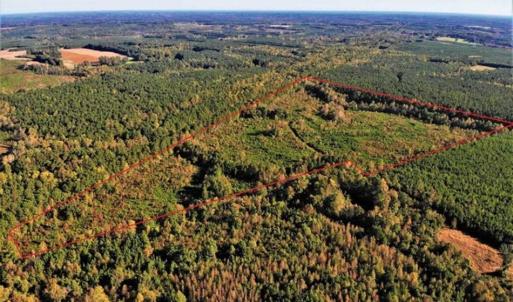 Photo of UNDER CONTRACT!!  46.79 Acres of Hunting Land for Sale in Brunswick County VA!
