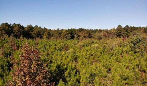 Photo of UNDER CONTRACT!!  46.79 Acres of Hunting Land for Sale in Brunswick County VA!