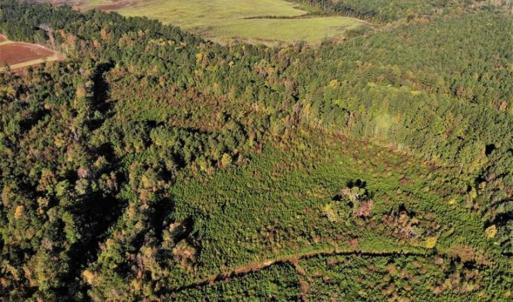 Photo of UNDER CONTRACT!!  46.79 Acres of Hunting Land for Sale in Brunswick County VA!