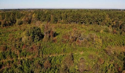 Photo of UNDER CONTRACT!!  46.79 Acres of Hunting Land for Sale in Brunswick County VA!