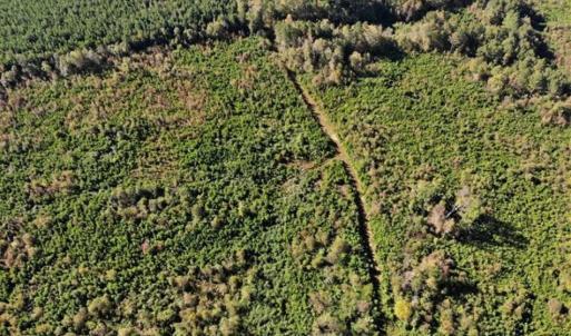 Photo of UNDER CONTRACT!!  46.79 Acres of Hunting Land for Sale in Brunswick County VA!