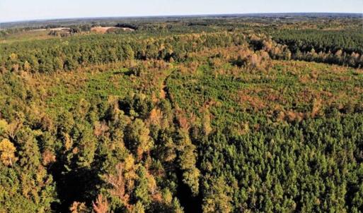 Photo of UNDER CONTRACT!!  46.79 Acres of Hunting Land for Sale in Brunswick County VA!