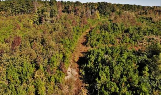 Photo of UNDER CONTRACT!!  46.79 Acres of Hunting Land for Sale in Brunswick County VA!