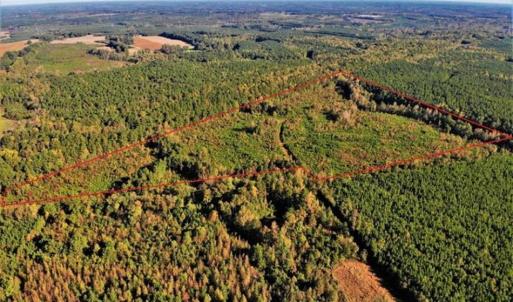 Photo of UNDER CONTRACT!!  46.79 Acres of Hunting Land for Sale in Brunswick County VA!