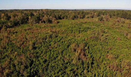 Photo of UNDER CONTRACT!!  46.79 Acres of Hunting Land for Sale in Brunswick County VA!