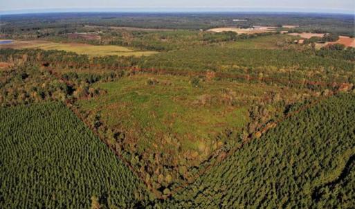 Photo of UNDER CONTRACT!!  46.79 Acres of Hunting Land for Sale in Brunswick County VA!