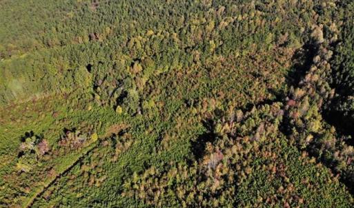 Photo of UNDER CONTRACT!!  46.79 Acres of Hunting Land for Sale in Brunswick County VA!