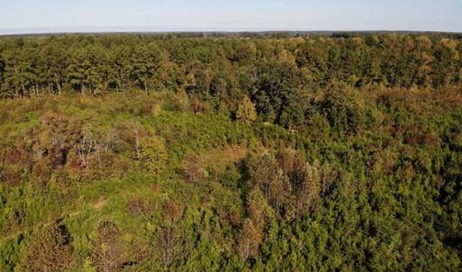 Photo of UNDER CONTRACT!!  46.79 Acres of Hunting Land for Sale in Brunswick County VA!