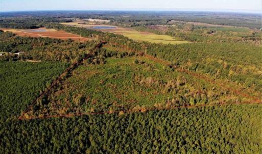 Photo of UNDER CONTRACT!!  46.79 Acres of Hunting Land for Sale in Brunswick County VA!