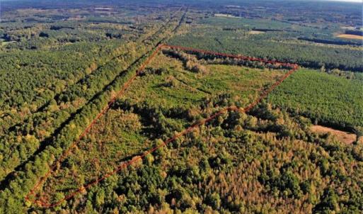 Photo of UNDER CONTRACT!!  46.79 Acres of Hunting Land for Sale in Brunswick County VA!