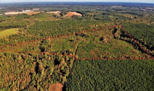 Photo of UNDER CONTRACT!!  46.79 Acres of Hunting Land for Sale in Brunswick County VA!
