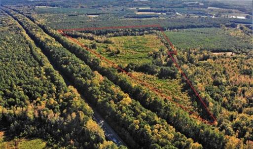 Photo of UNDER CONTRACT!!  46.79 Acres of Hunting Land for Sale in Brunswick County VA!
