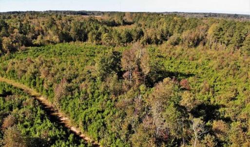 Photo of UNDER CONTRACT!!  46.79 Acres of Hunting Land for Sale in Brunswick County VA!