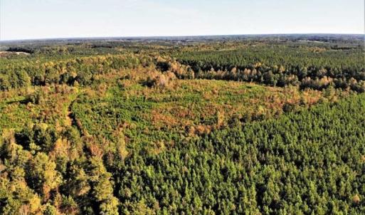 Photo of UNDER CONTRACT!!  46.79 Acres of Hunting Land for Sale in Brunswick County VA!