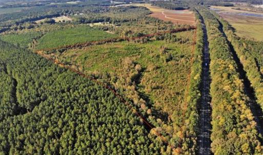 Photo of UNDER CONTRACT!!  46.79 Acres of Hunting Land for Sale in Brunswick County VA!