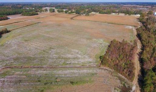 Photo of 73.35 Acres of Farm and Timber Land For Sale in Craven County NC!