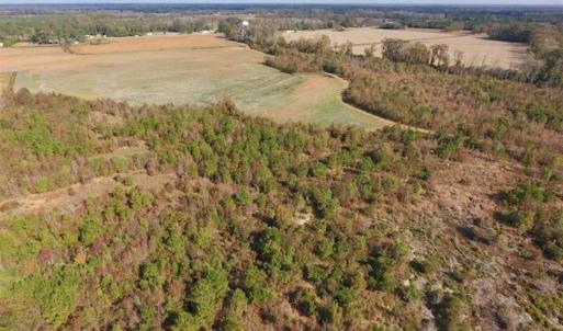Photo of 73.35 Acres of Farm and Timber Land For Sale in Craven County NC!
