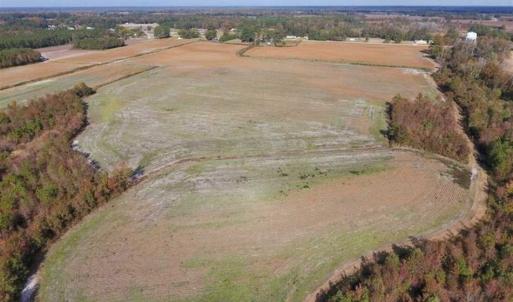 Photo of 73.35 Acres of Farm and Timber Land For Sale in Craven County NC!